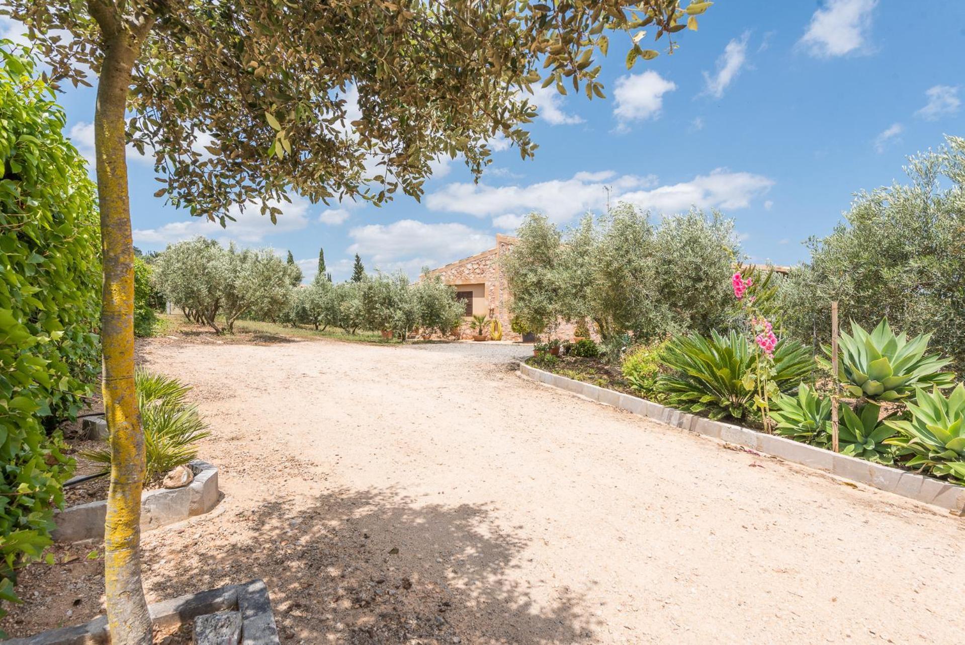 Ferienhaus Ses Oliveres By Mallorca House Rent Son Carrio (Llevant)