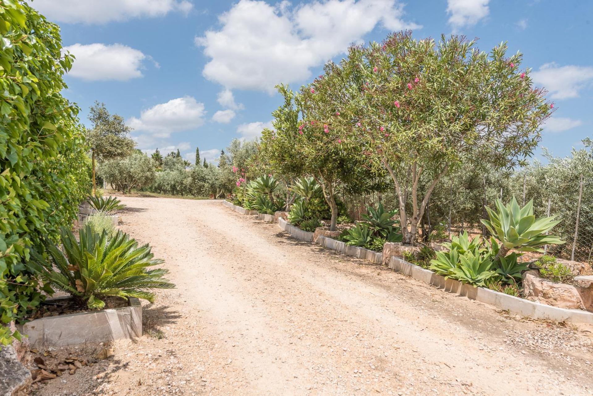 Ferienhaus Ses Oliveres By Mallorca House Rent Son Carrio (Llevant)